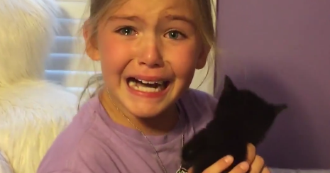 This Girl's Reaction To New Kitten Is Priceless