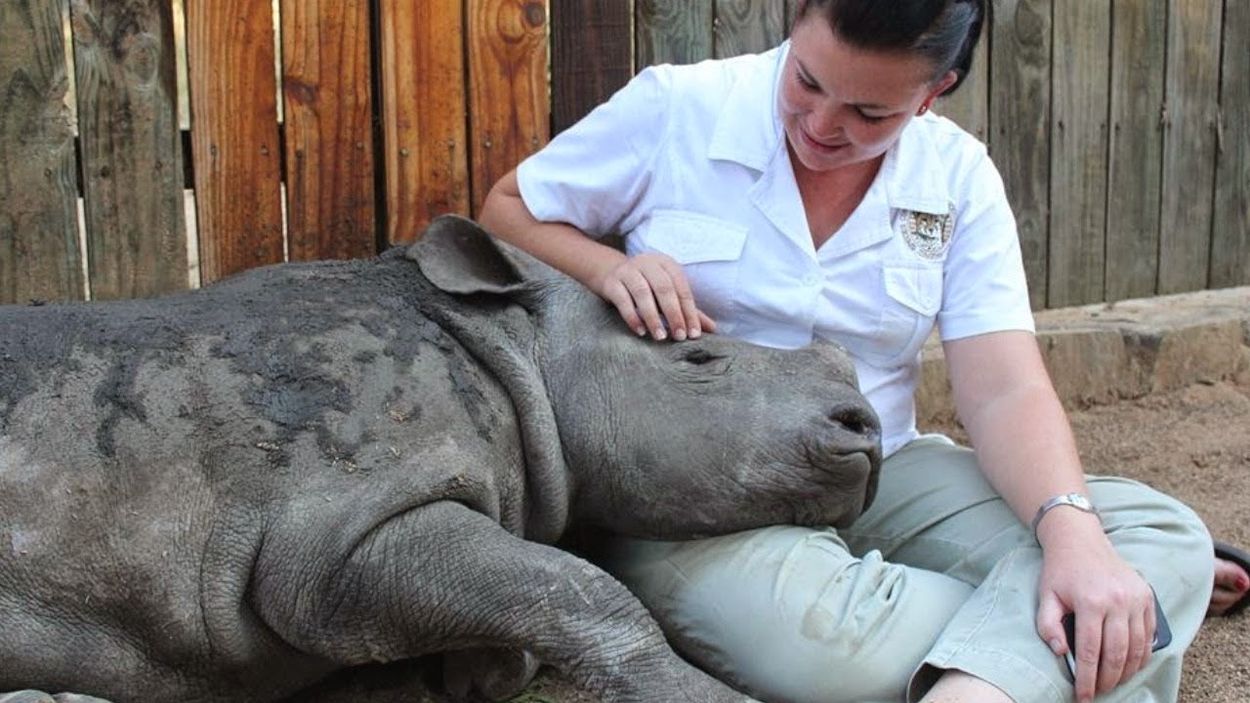 Here Are 13 Baby Rhinos Guaranteed To Make Your Day Better