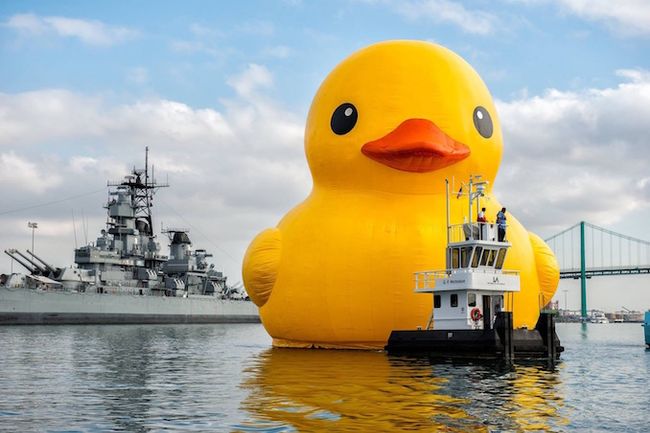 giant-rubber-duck-will-take-over-toronto-this-summer