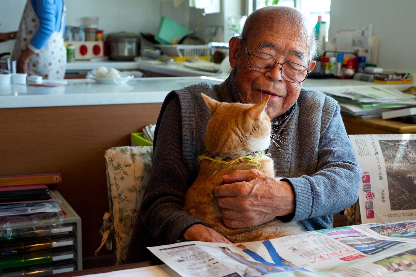 3 кота дедушка кот. Дедушка кот. Старик и кот. Старик с котенком. Дедушка с котенком.