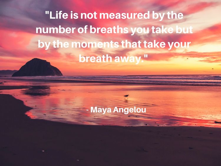 12 Inspiring Maya Angelou Quotes That Will Remind You Of The Beauty Of ...