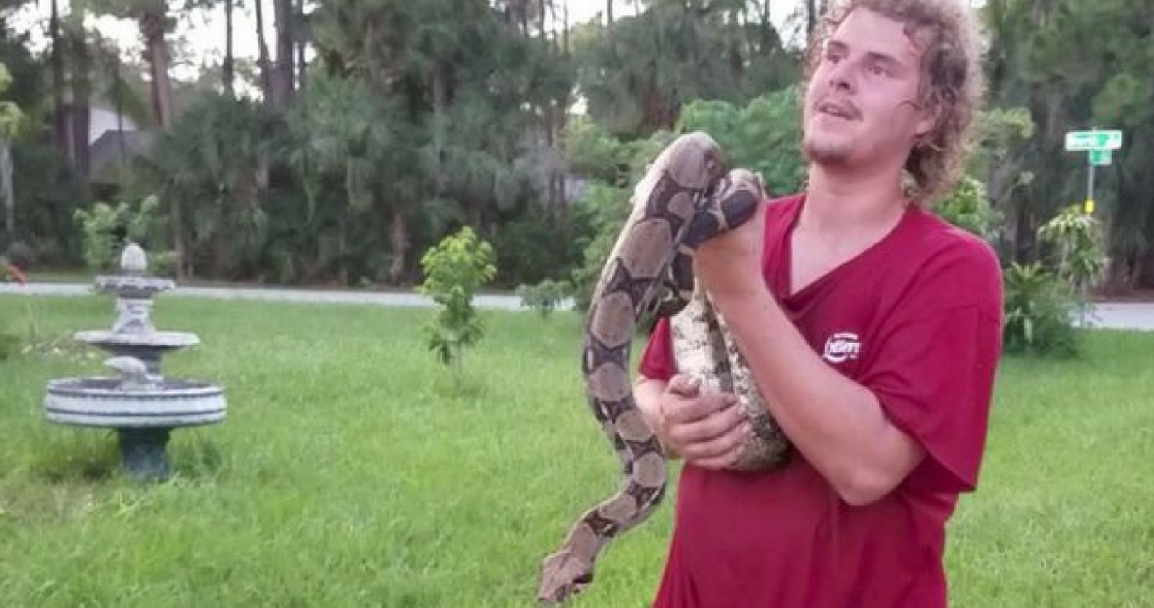 Florida Family Makes Horrifying Discovery Of 6-Foot Boa Constrictor ...