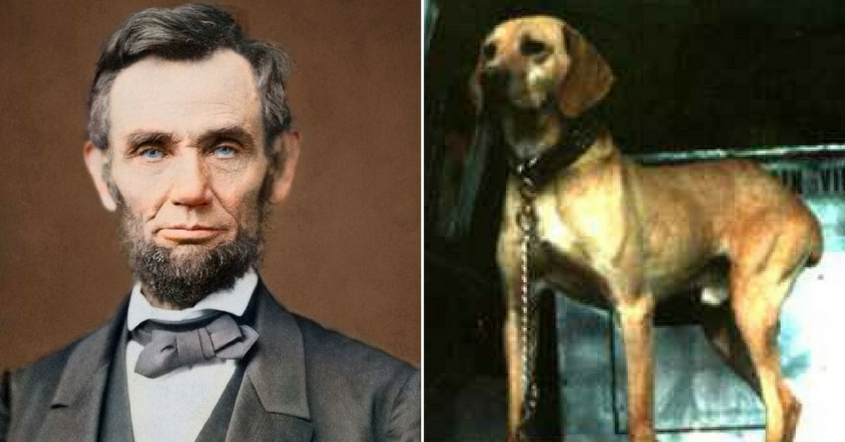 what happened to abraham lincolns dog