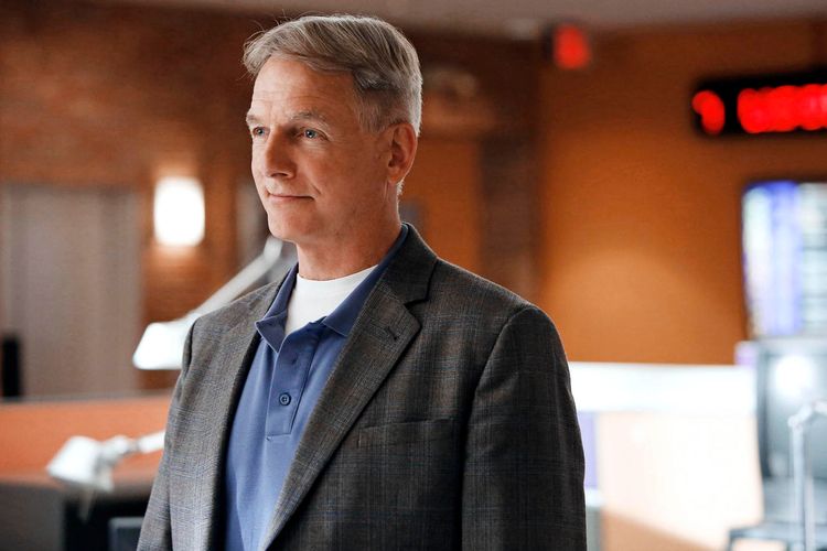 8 Things About Mark Harmon That Prove He's The Perfect Man