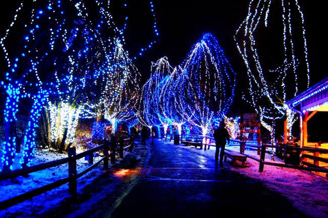 15 Incredible Christmas Lights That Are So Good We Can't Even Feel Jealous