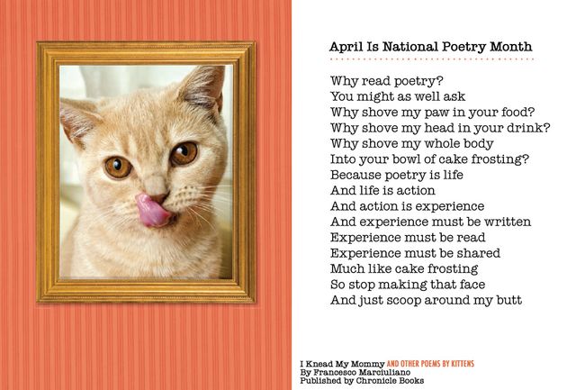 16 Poems That Were Definitely Written By Cats