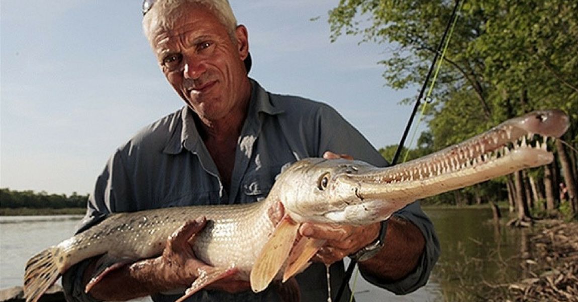 8 "River Monsters" That Will Keep You Out Of Water For The Rest Of Your Life