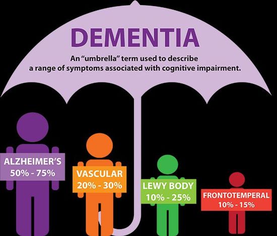 Study Reveals That 1 In 3 Dementia Cases Are Preventable, If You Follow ...