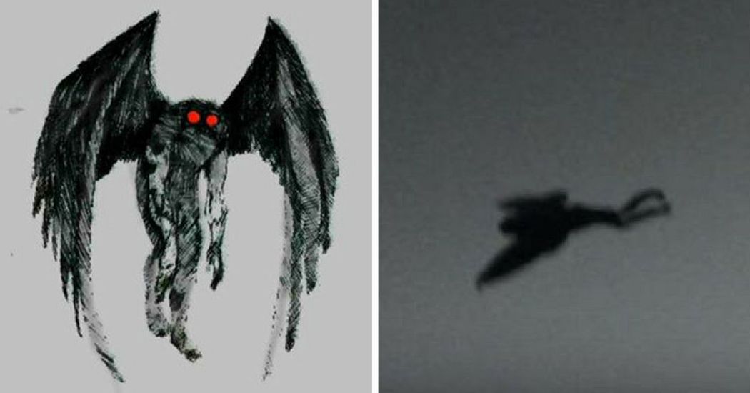 Strange 'Mothman' Creature Reportedly Spotted By 55 Chicago Residents