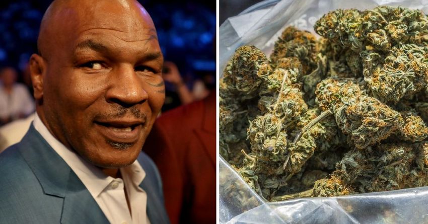 Mike Tyson Is Opening A Marijuana-Friendly Ranch Where People Can Get