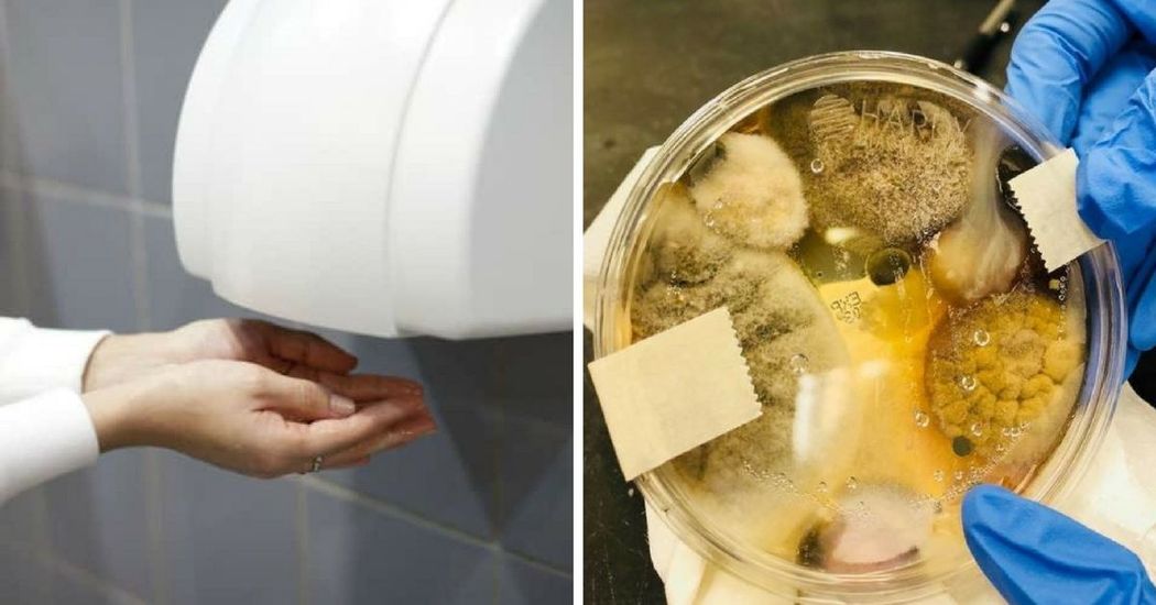 Don't Use Bathroom Hand Dryers If You're Afraid Of Catching The Flu