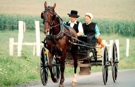 12 Traditions Surprenantes Qui Distinguent Les Mariages Amish | Krediblog