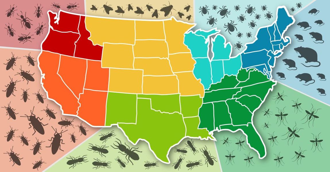 Bug Populations Will Explode Nationwide This Spring