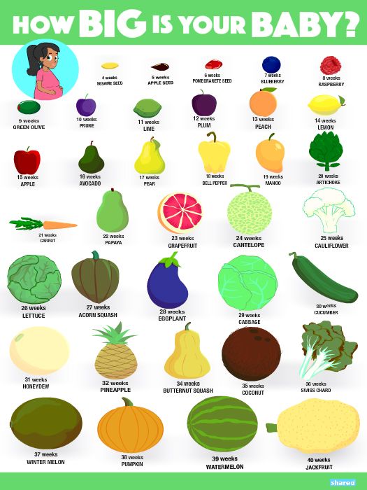 Pregnancy Fruit Size Chart