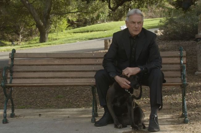 Ncis Bids Farewell To Two Beloved Characters
