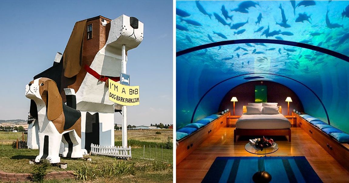 Strange hotels. Dog Bark Park Inn отель. He Dog Bark Park Inn, Коттонвуд, Айдахо. Dog Bark Park Inn номера. Weird Hotel Япония.