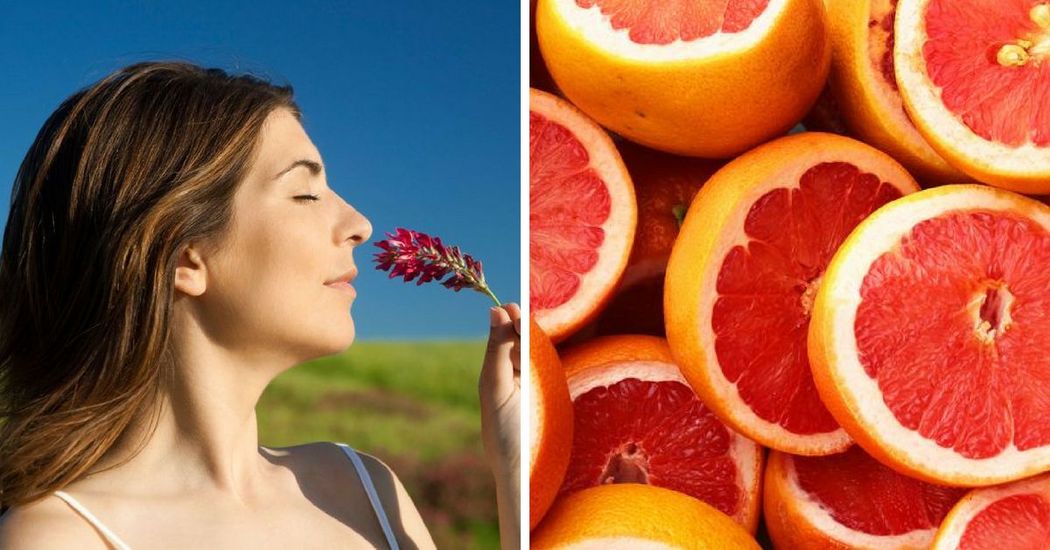 scientists-reveal-the-5-scents-that-everyone-can-agree-smell-great