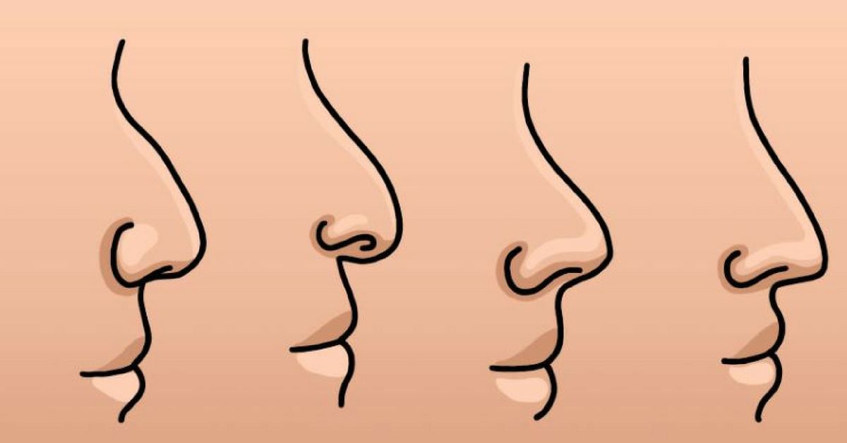 english nose shape