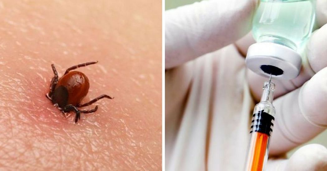 There's A New Lyme Disease Vaccine Coming Out And We Can All Breathe A