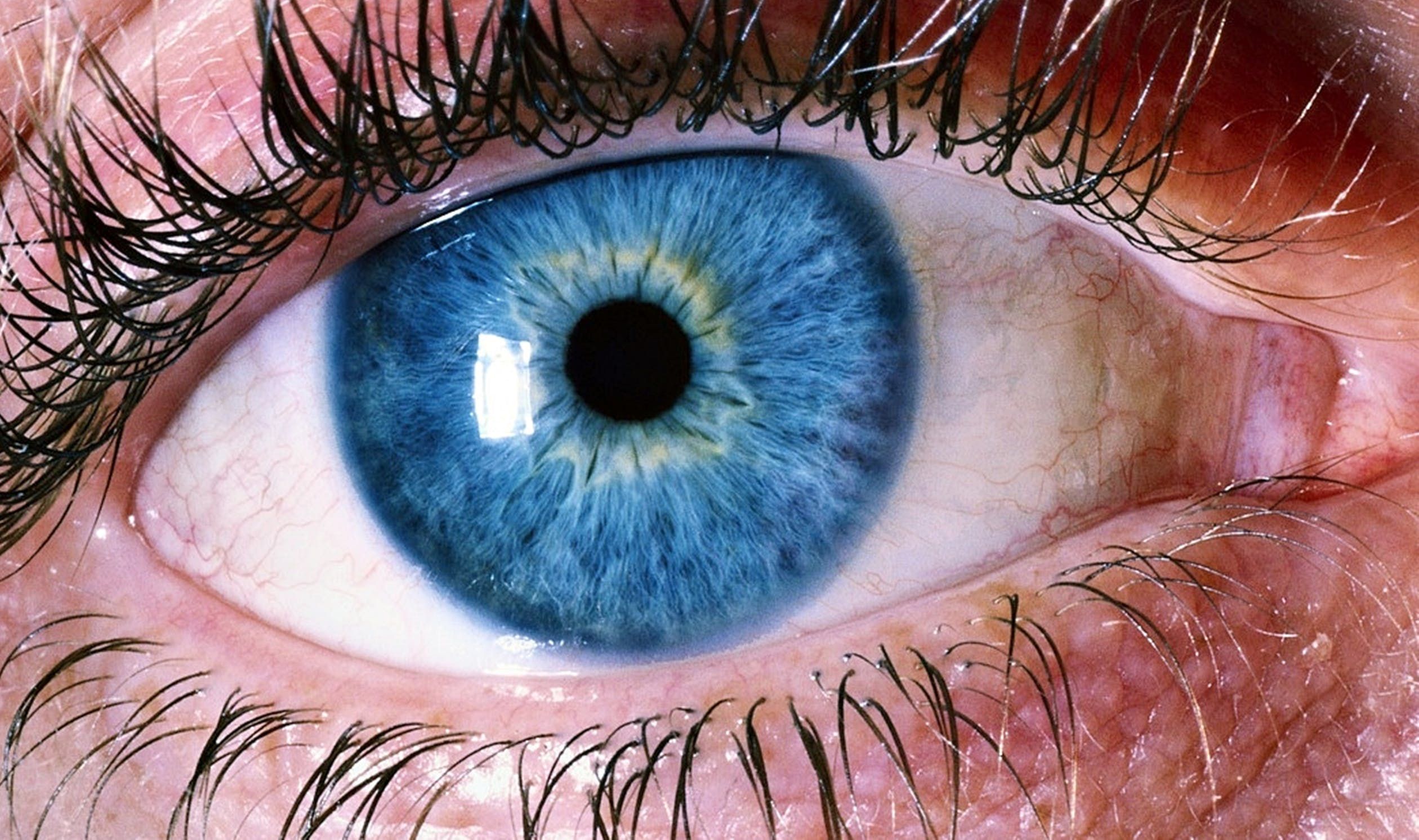 People With Blue Eyes Are More Attractive Says Science