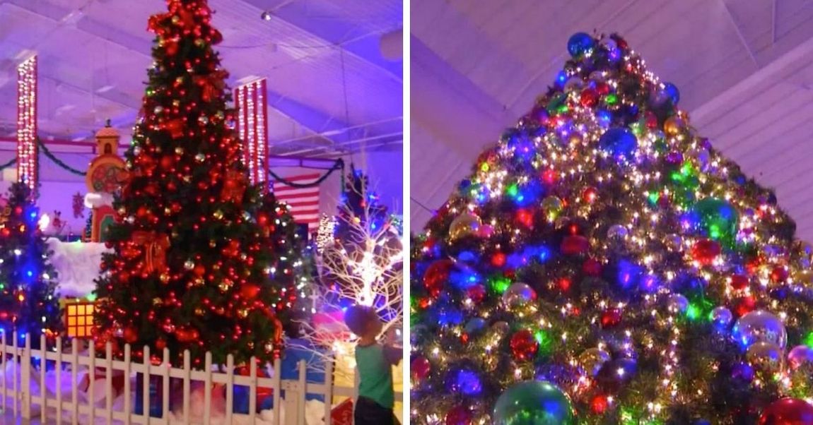 Christmas Lane Is Now Open In Florida, And It's Completely Magical