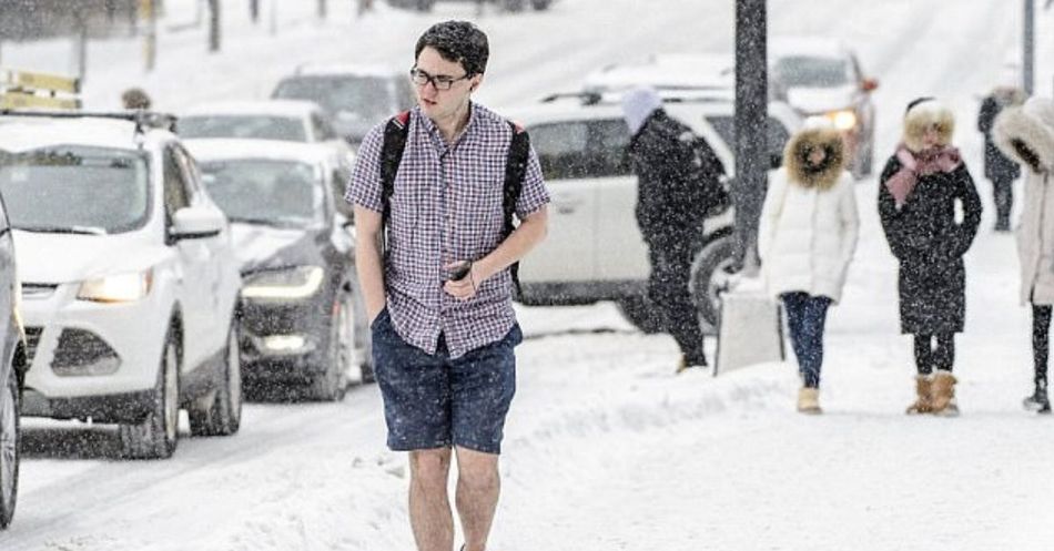 why-so-many-people-insist-on-wearing-shorts-in-winter