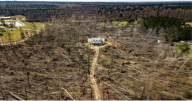 Watch: House In Tornado's Path Looks Miraculously Untouched